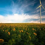 Bright Futures Ahead: The Booming Clean Energy Sector