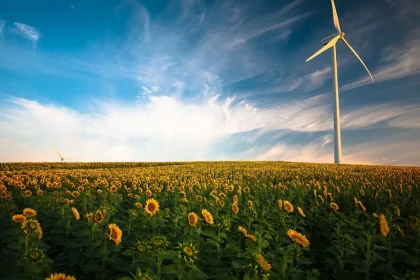 Bright Futures Ahead: The Booming Clean Energy Sector