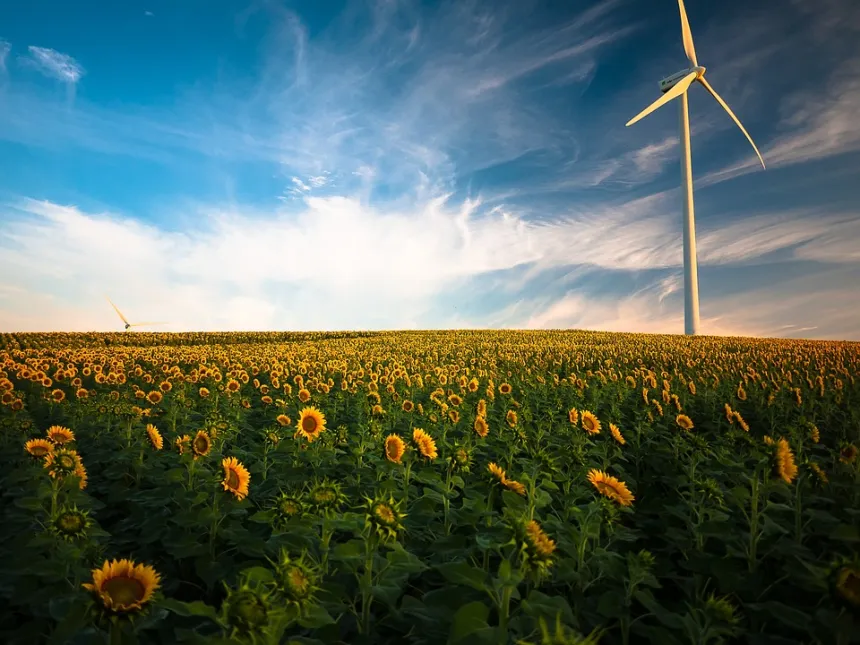 Financing Clean Energy Projects: Strategies for Securing Investment and Managing Risks